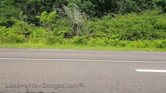 Spain rus hole Spain rus hole